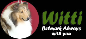 Belmark Always With You